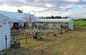 Moveable Garden Outdoor Party Tent  Marqueet For 100 Guests Craft Festivals